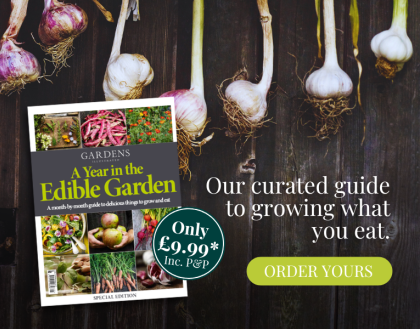 Edible Garden  1296 x 319 px